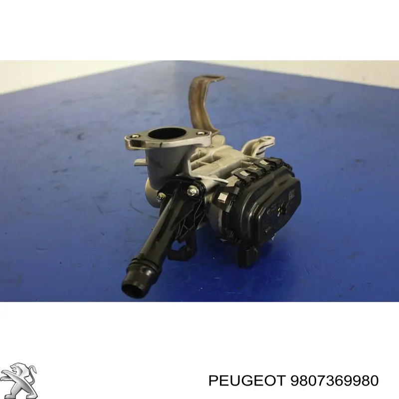 9807369980 Peugeot/Citroen válvula egr de recirculação dos gases