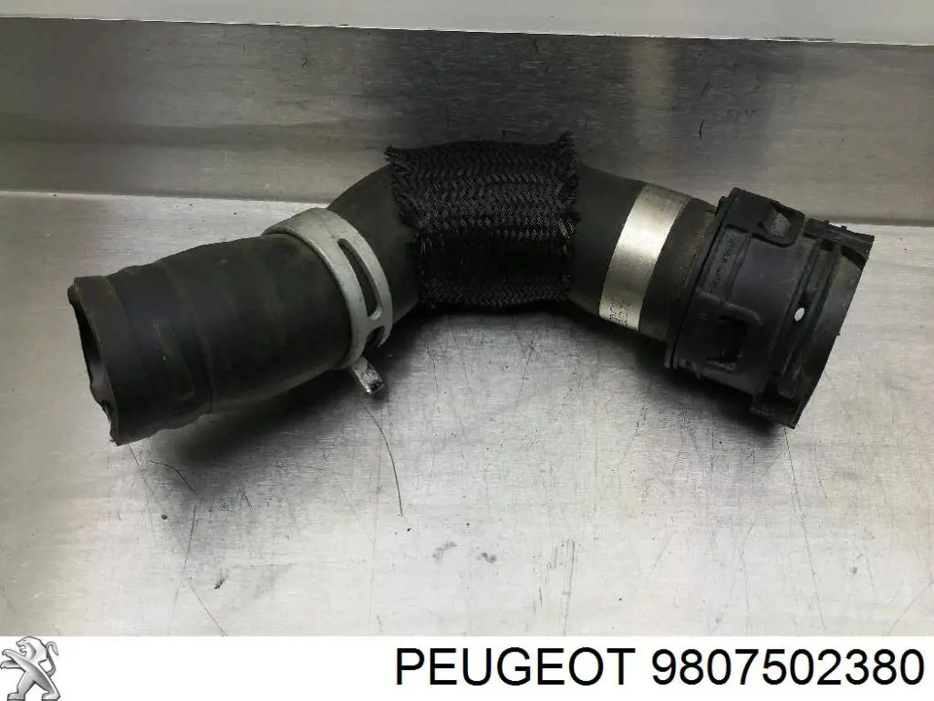 9807502380 Peugeot/Citroen Шланг термостата