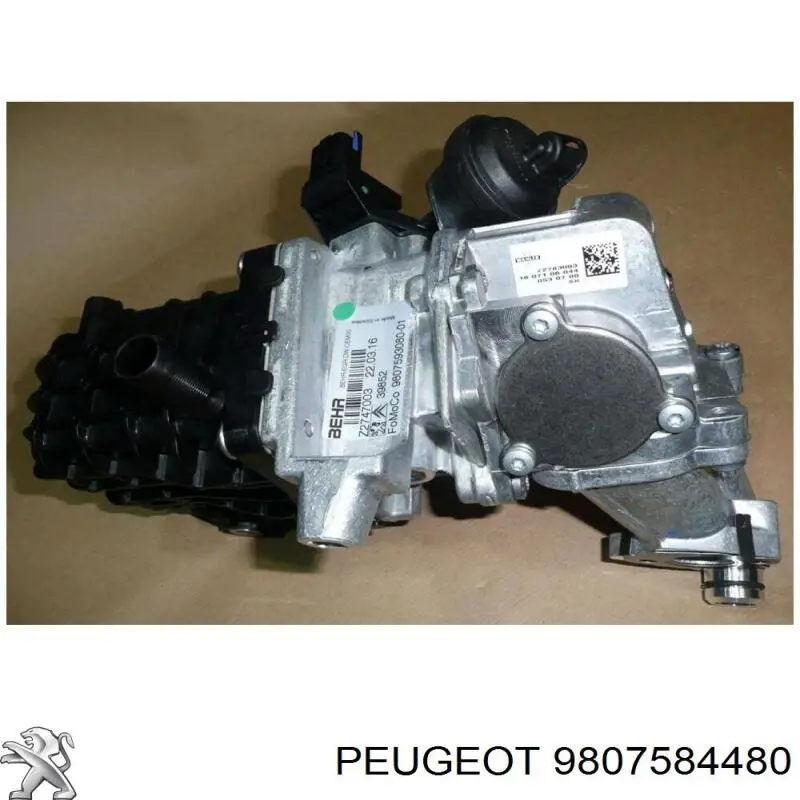 Купить 9807584480 Peugeot/Citroen 
