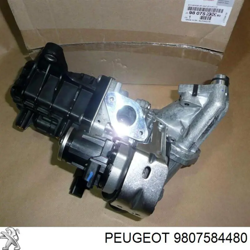 9807584480 Peugeot/Citroen 