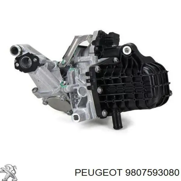9807593080 Peugeot/Citroen Клапан рециркуляции отработавших газов EGR