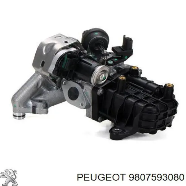 9807593080 Peugeot/Citroen válvula egr de recirculação dos gases