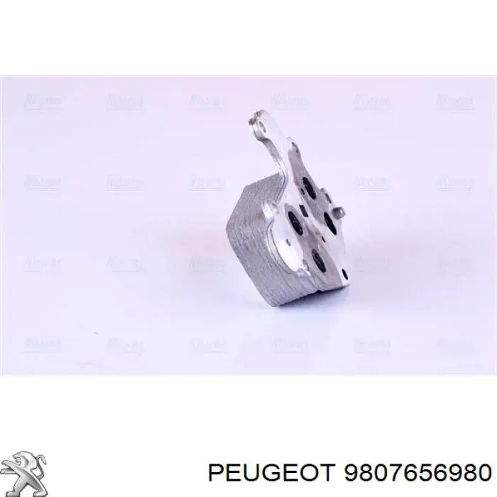  9807656980 Peugeot/Citroen