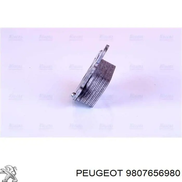  9807656980 Peugeot/Citroen
