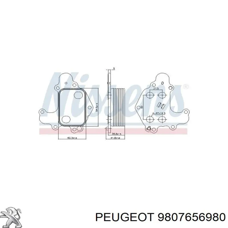 9807656980 Peugeot/Citroen 