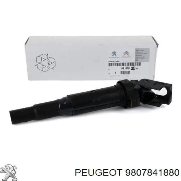 9807841880 Peugeot/Citroen bobina de ignição