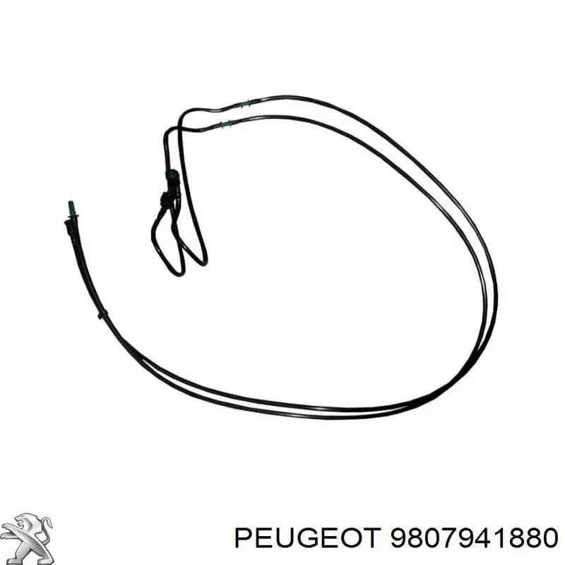 9807941880 Peugeot/Citroen 