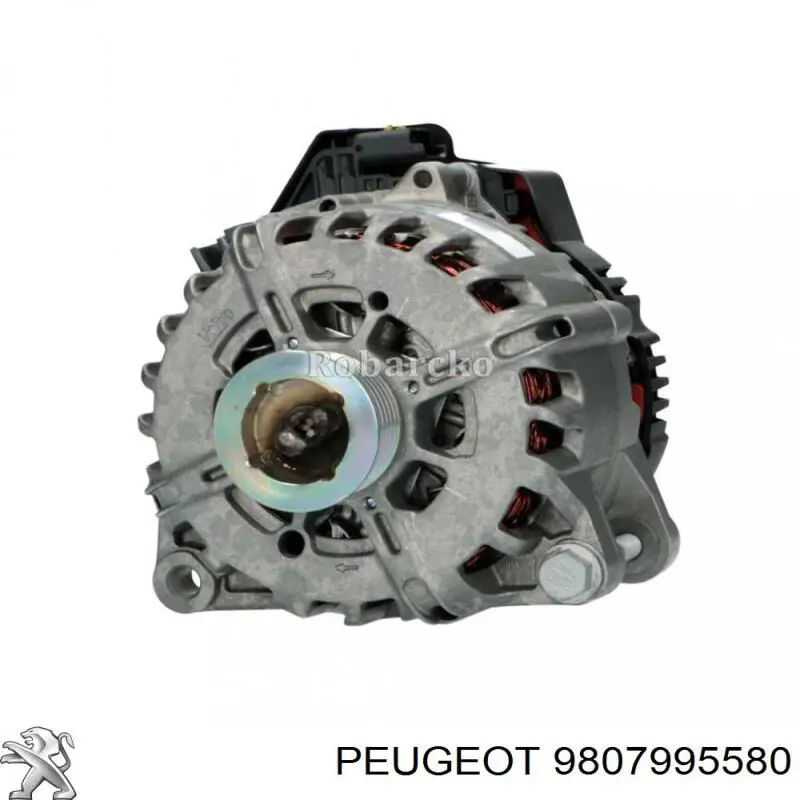 9807995580 Peugeot/Citroen gerador