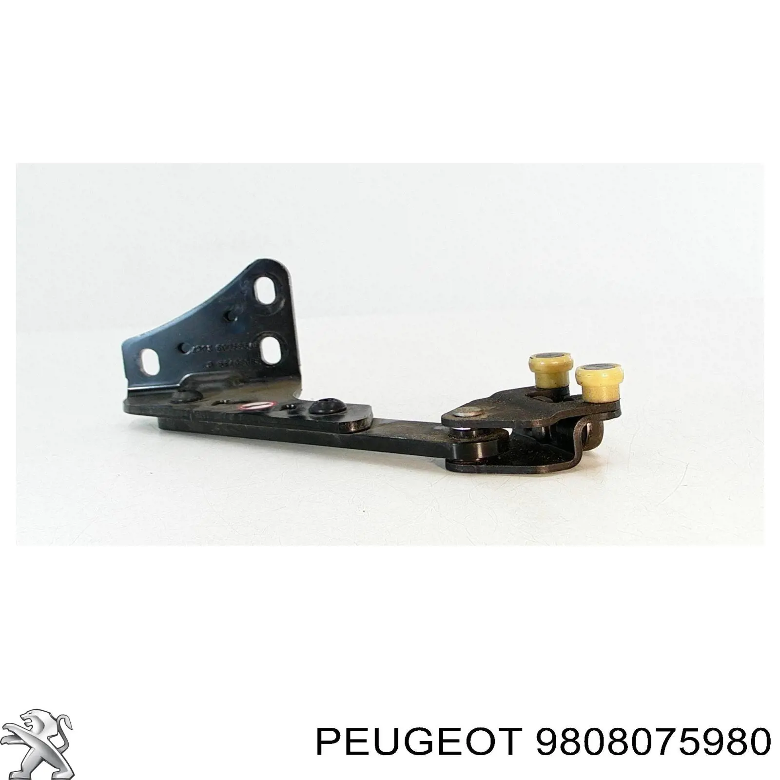  9847162380 Peugeot/Citroen