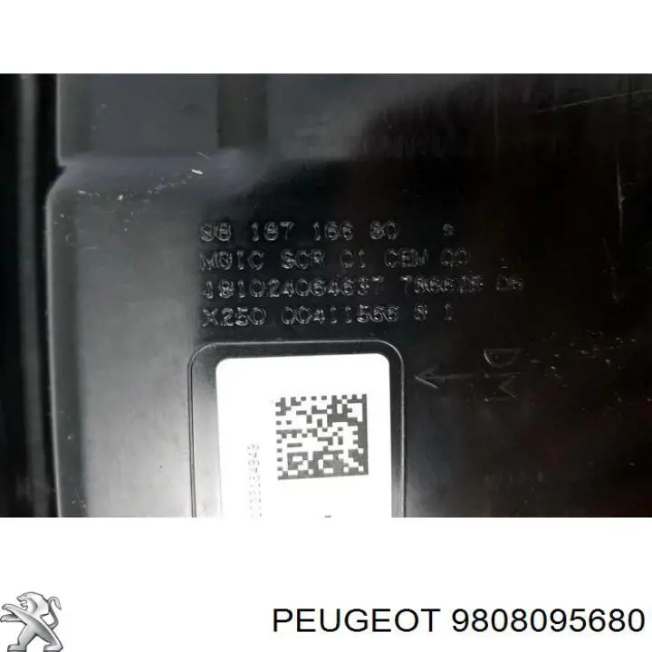 Depósito de AdBlue 9808095680 Peugeot/Citroen