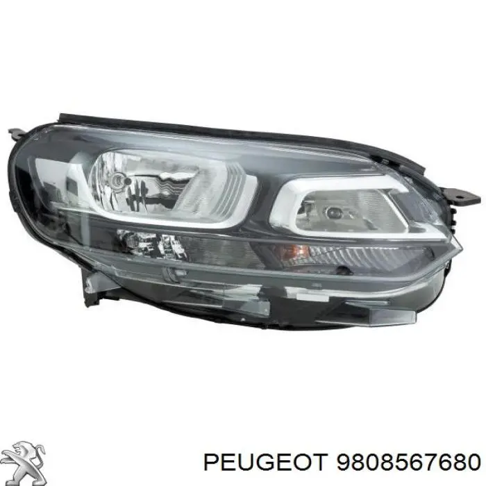 9808567680 Peugeot/Citroen