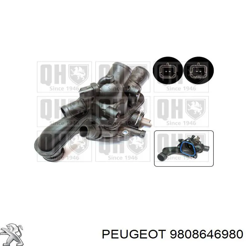 9808646980 Peugeot/Citroen Авто термостат