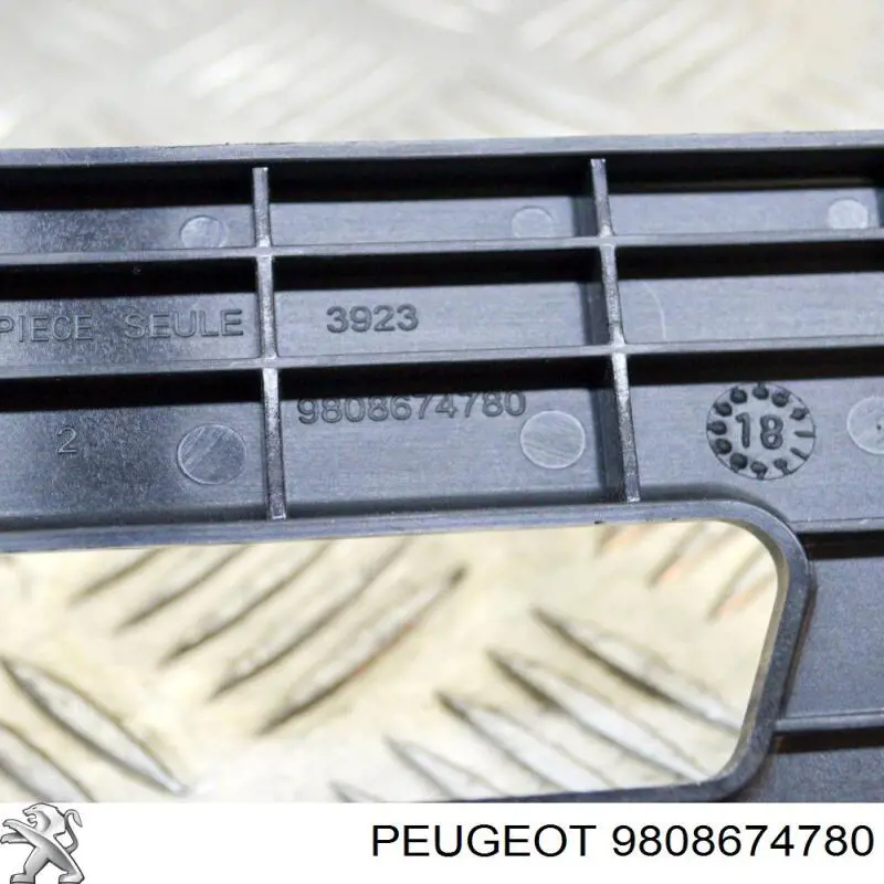 9808674780 Peugeot/Citroen Подставка аккумулятора (АКБ)