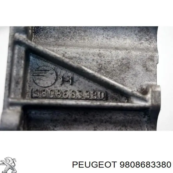 Купить 9808683380 Peugeot/Citroen 