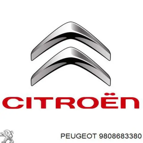9808683380 Peugeot/Citroen 