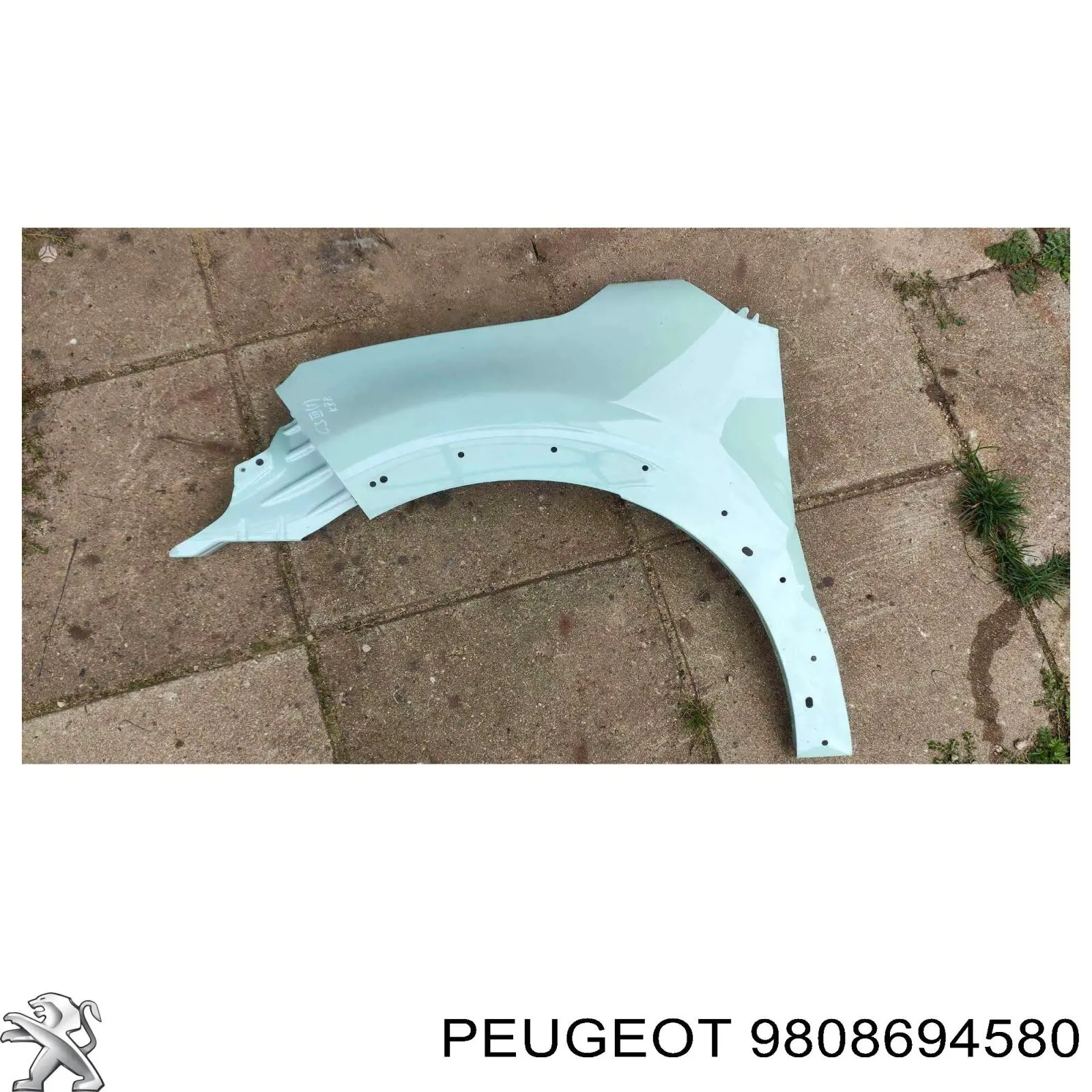 9808694580 Peugeot/Citroen