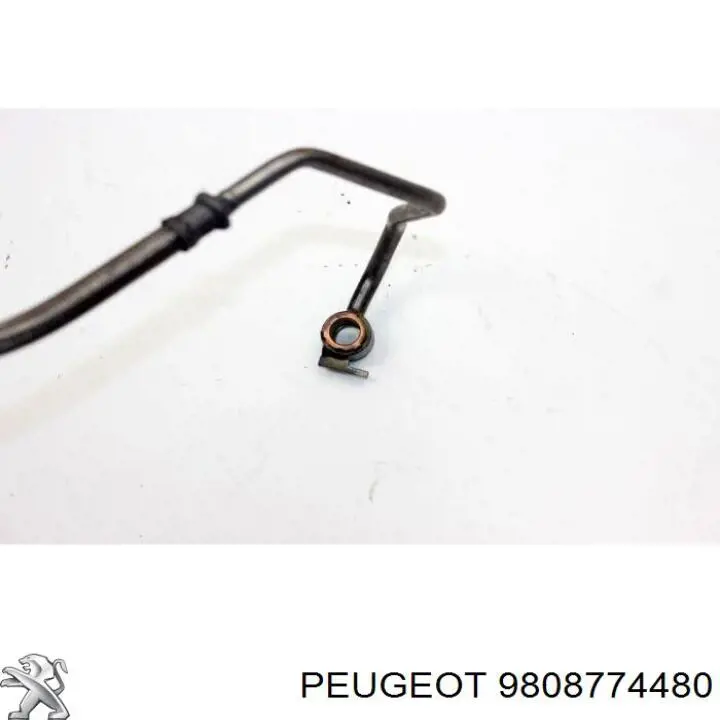Трубка (шланг) подачи масла к турбине Peugeot/Citroen 9808774480 цена, от 32.83 USD