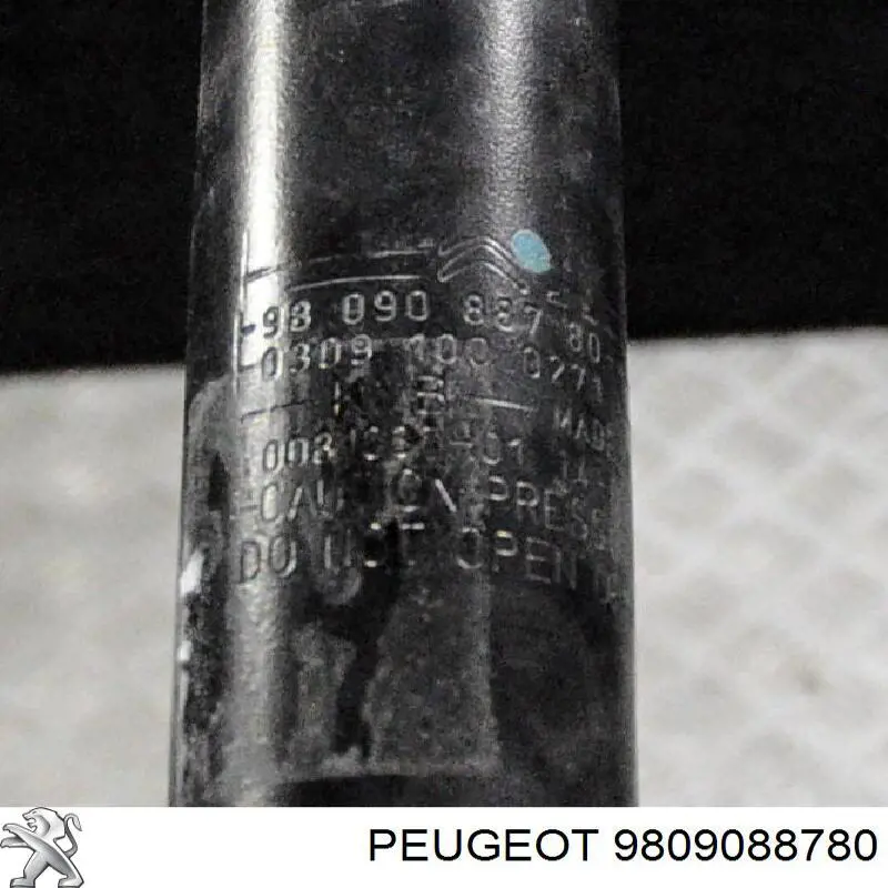 Амортизатор задний RS316937 Raiso