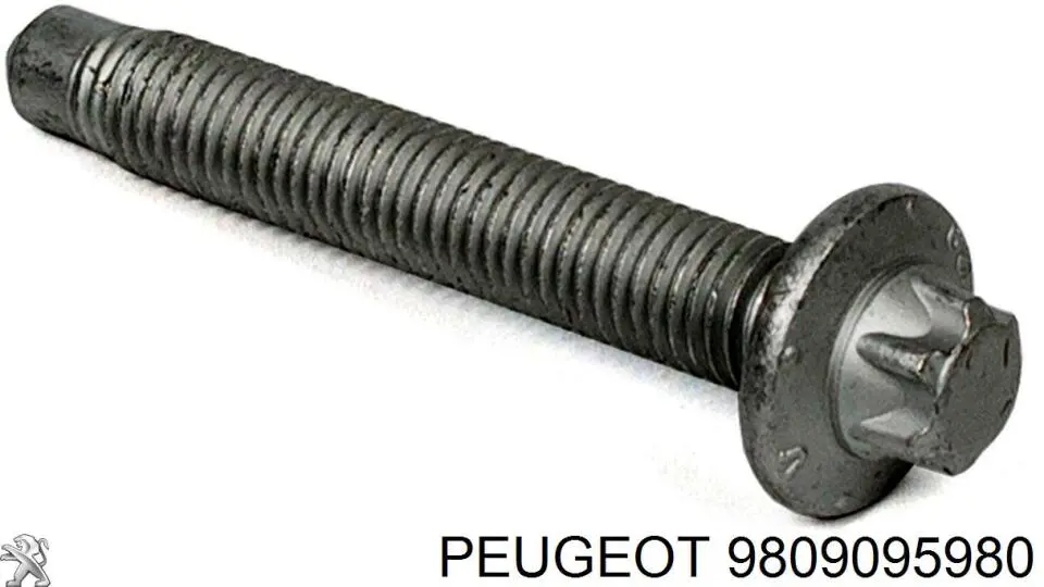 9809095980 Peugeot/Citroen 