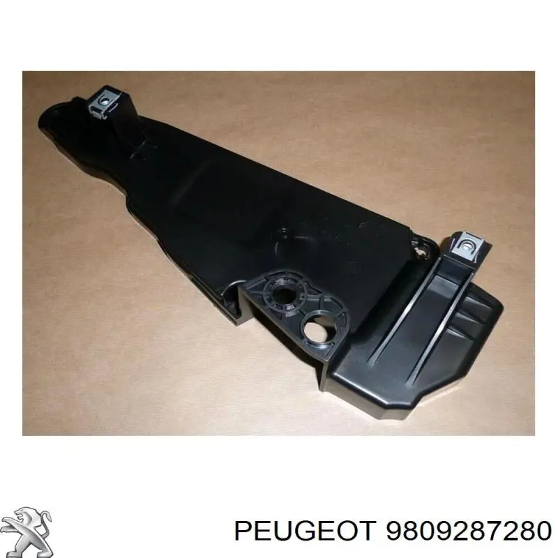 Купить 9809287280 Peugeot/Citroen 