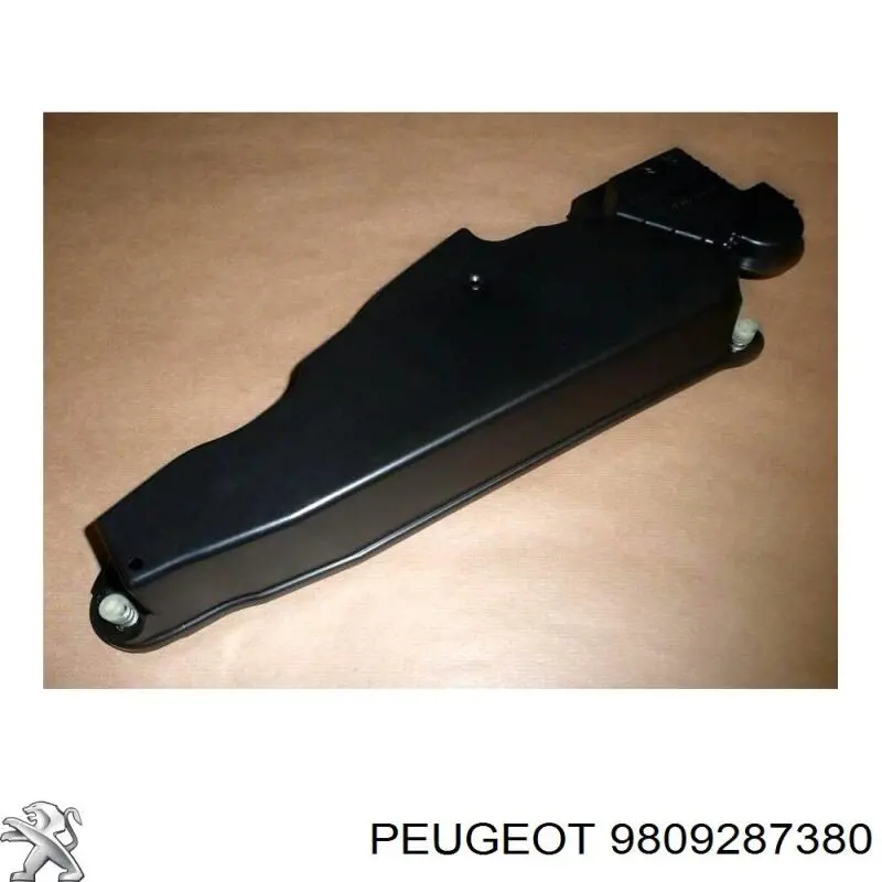 9809287380 Peugeot/Citroen