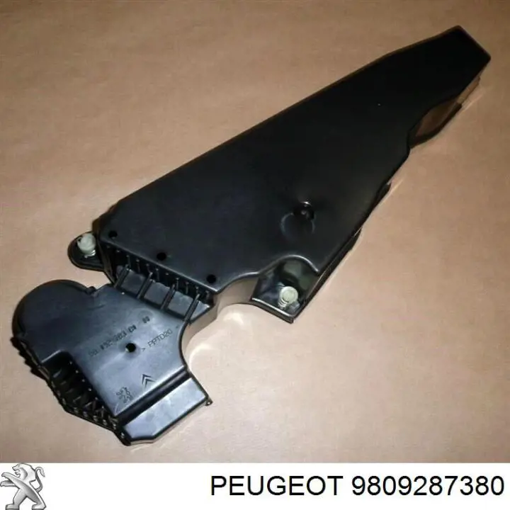 9809287380 Peugeot/Citroen 