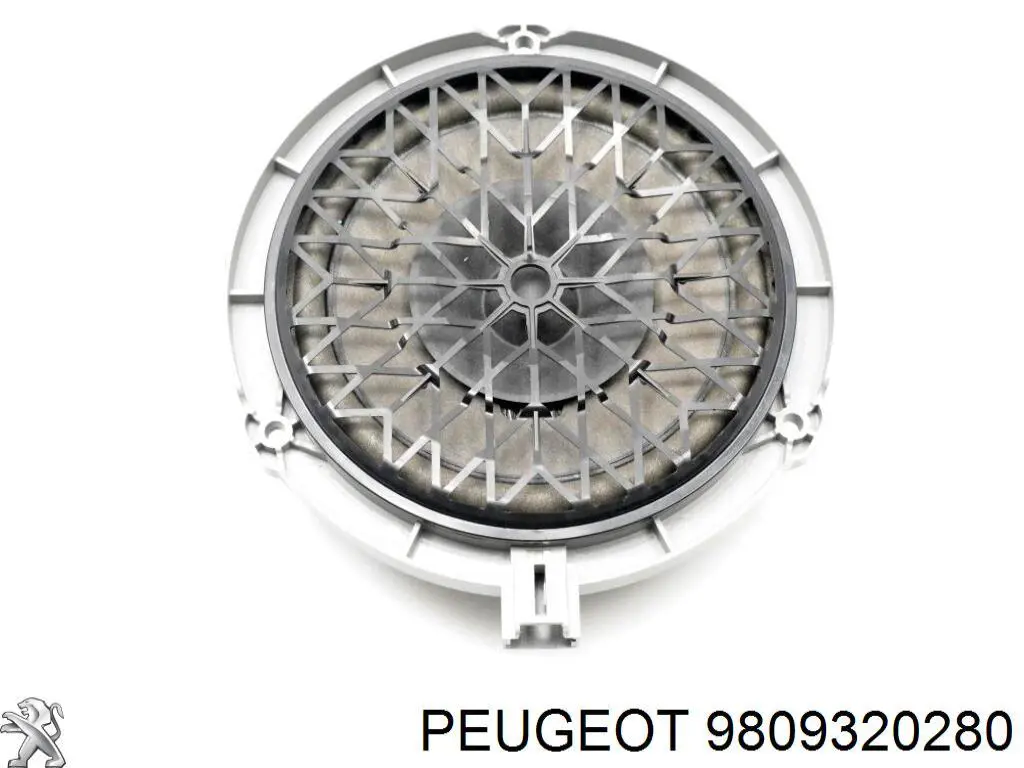  9809320280 Peugeot/Citroen