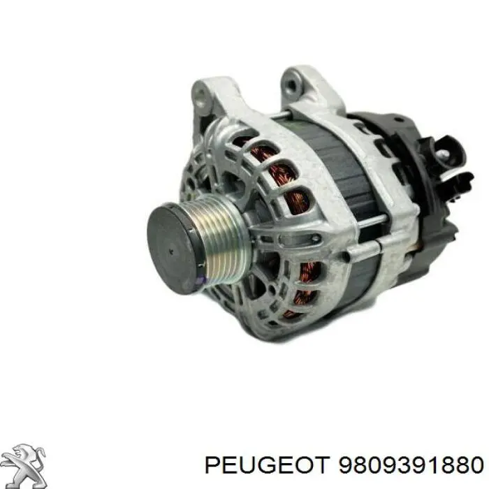 9809391880 Peugeot/Citroen gerador