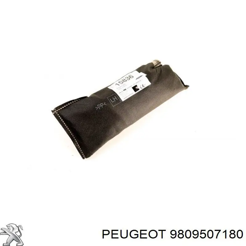 Купить 9809507180 Peugeot/Citroen Подушка безопасности (AIRBAG) спинки сиденья левого
