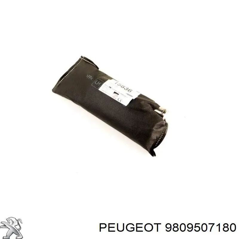 Подушка безопасности (AIRBAG) спинки сиденья левого 9809507180 Peugeot/Citroen
