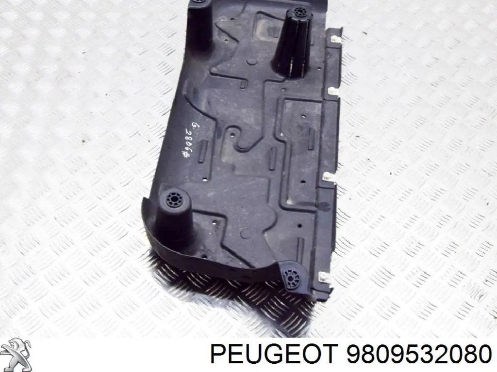 9809532080 Peugeot/Citroen 