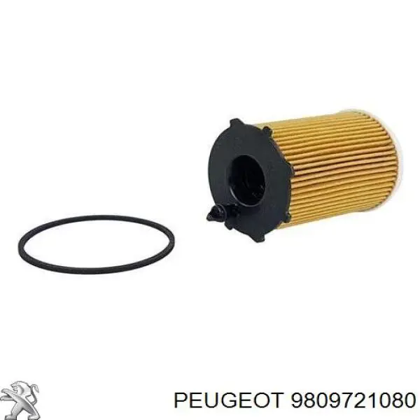 Фильтр топливный Peugeot/Citroen 9809721080