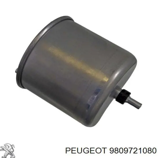9809721080 Peugeot/Citroen Фильтр топлива
