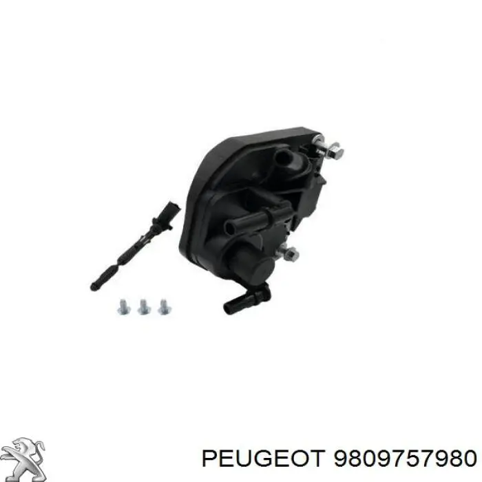 Compre 9809757980 Peugeot/Citroen Caixa de filtro de combustível
