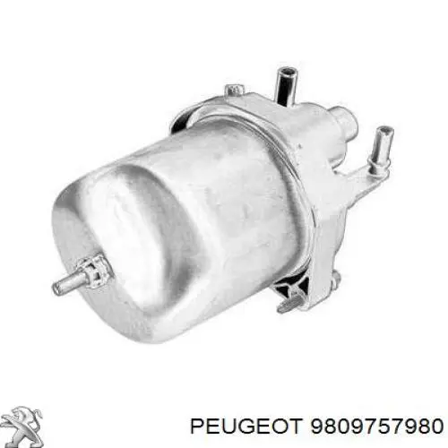 Caixa de filtro de combustível 9809757980 Peugeot/Citroen