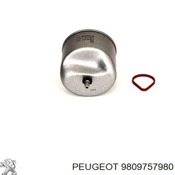 Compre 9809757980 Peugeot/Citroen Caixa de filtro de combustível