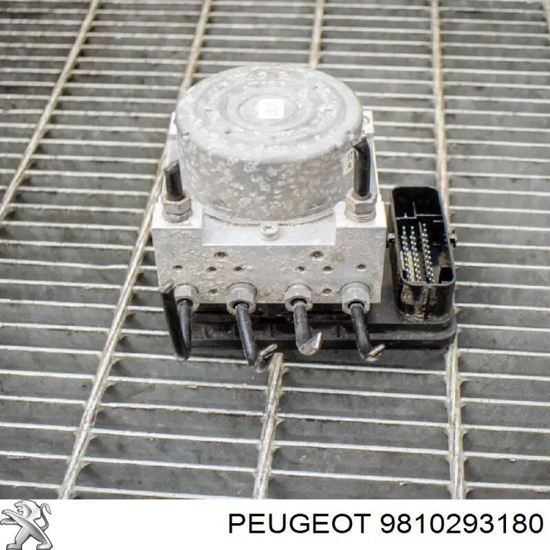  Peugeot/Citroen 9810293180 цена, от 189.05 USD