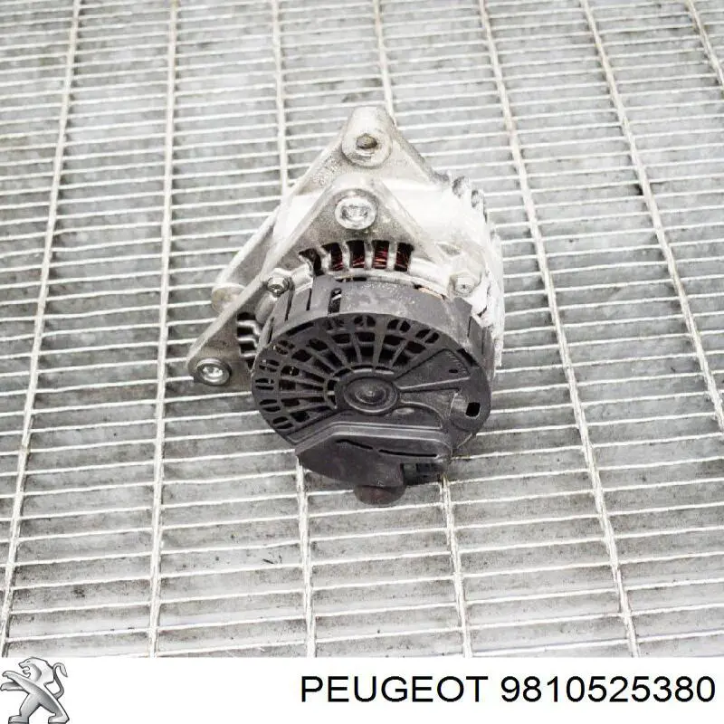 9810525380 Peugeot/Citroen gerador