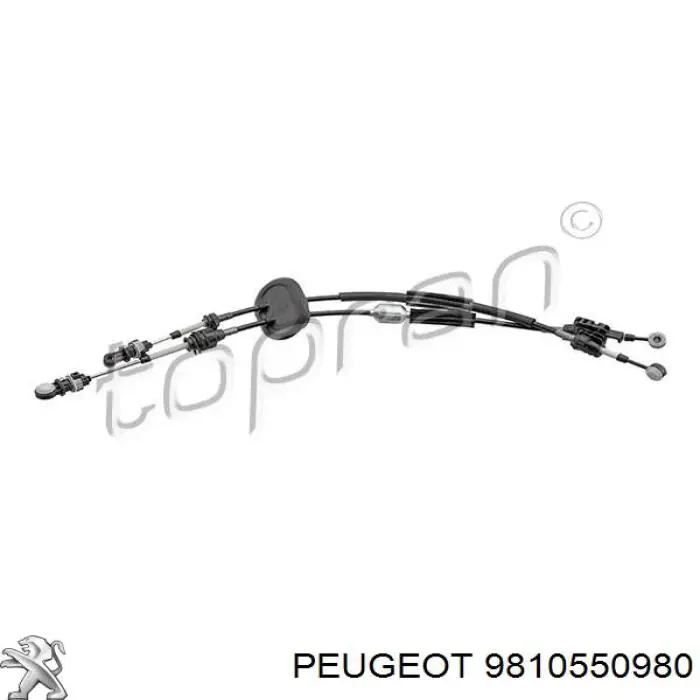 9810550980 Peugeot/Citroen avalanca de mudança