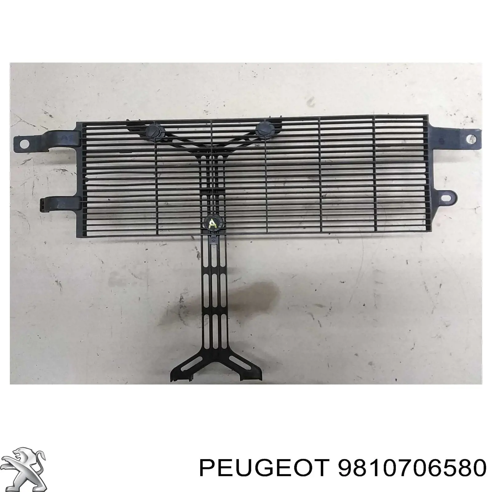Приёмная труба 9810706680 Peugeot/Citroen