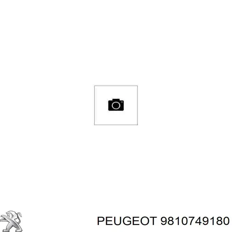 9810749180 Peugeot/Citroen Прокладка головки блока