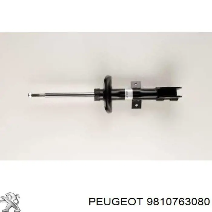 9810763080 Peugeot/Citroen 