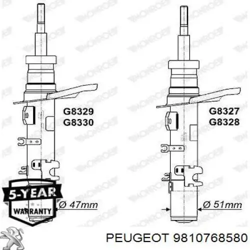 9810768580 Peugeot/Citroen 