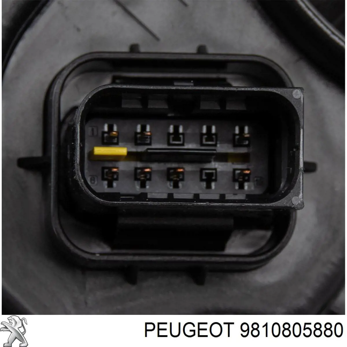 9810805880 Peugeot/Citroen luz direita