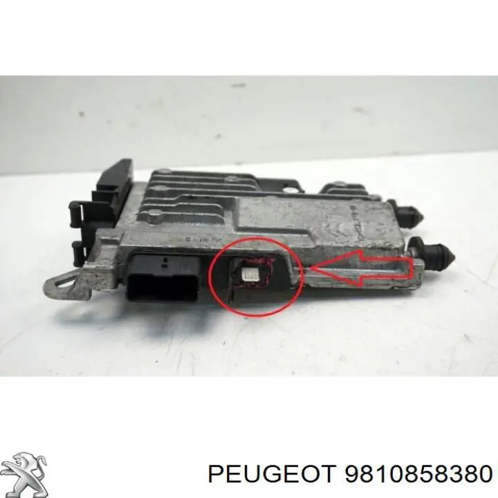 Regulador de voltaje 9810858380 Peugeot/Citroen