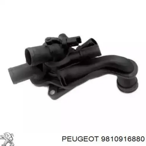 Термостат Peugeot/Citroen 9810916880
