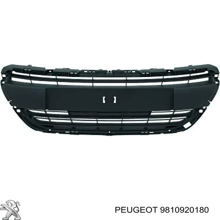 FP5426993 FPS Решетка радиатора