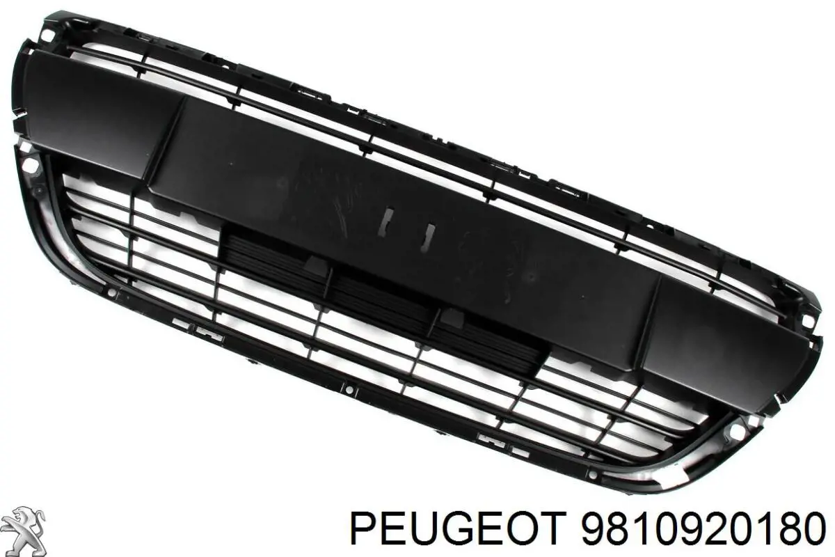 Panal de radiador 9810920180 Peugeot/Citroen