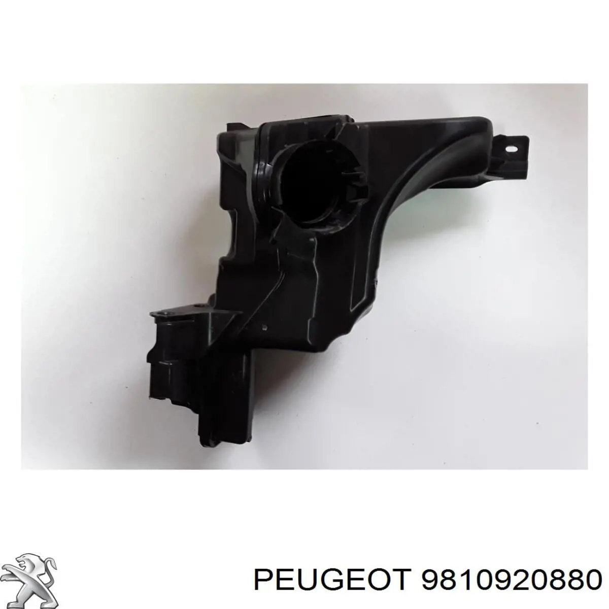 9810920880 Peugeot/Citroen Резонатор воздушного фильтра