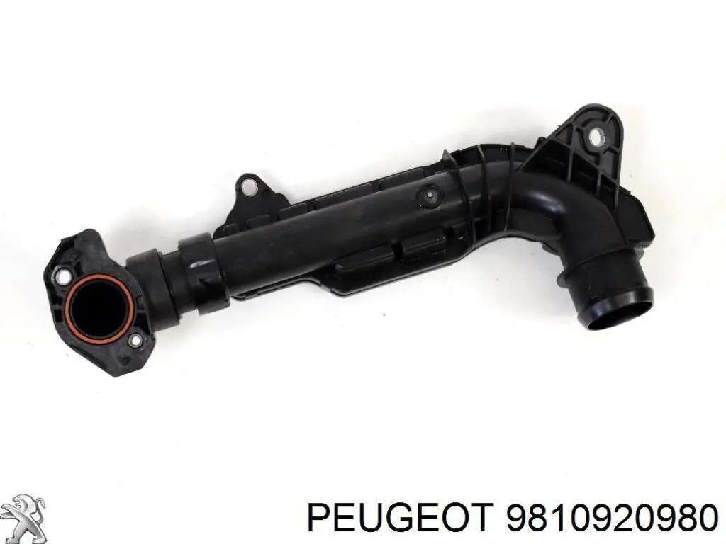 Tubo flexible de aspiración, entrada del filtro de aire 9810920980 Peugeot/Citroen